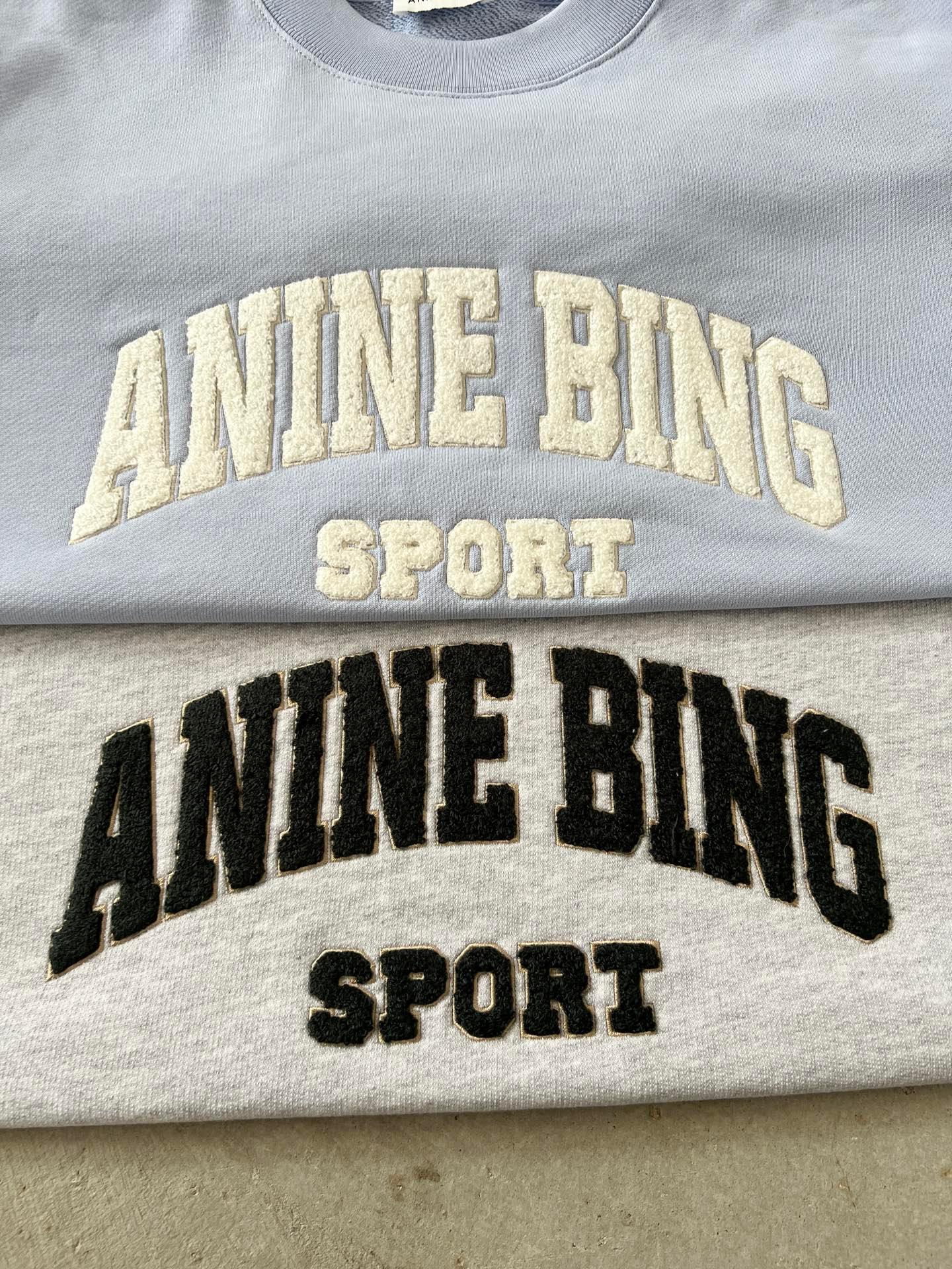 Anine Bing Women's Sport Chenille Logo Oversized Sweatshirt