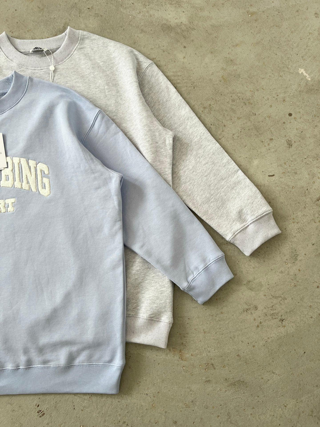 Anine Bing Women's Sport Chenille Logo Oversized Sweatshirt
