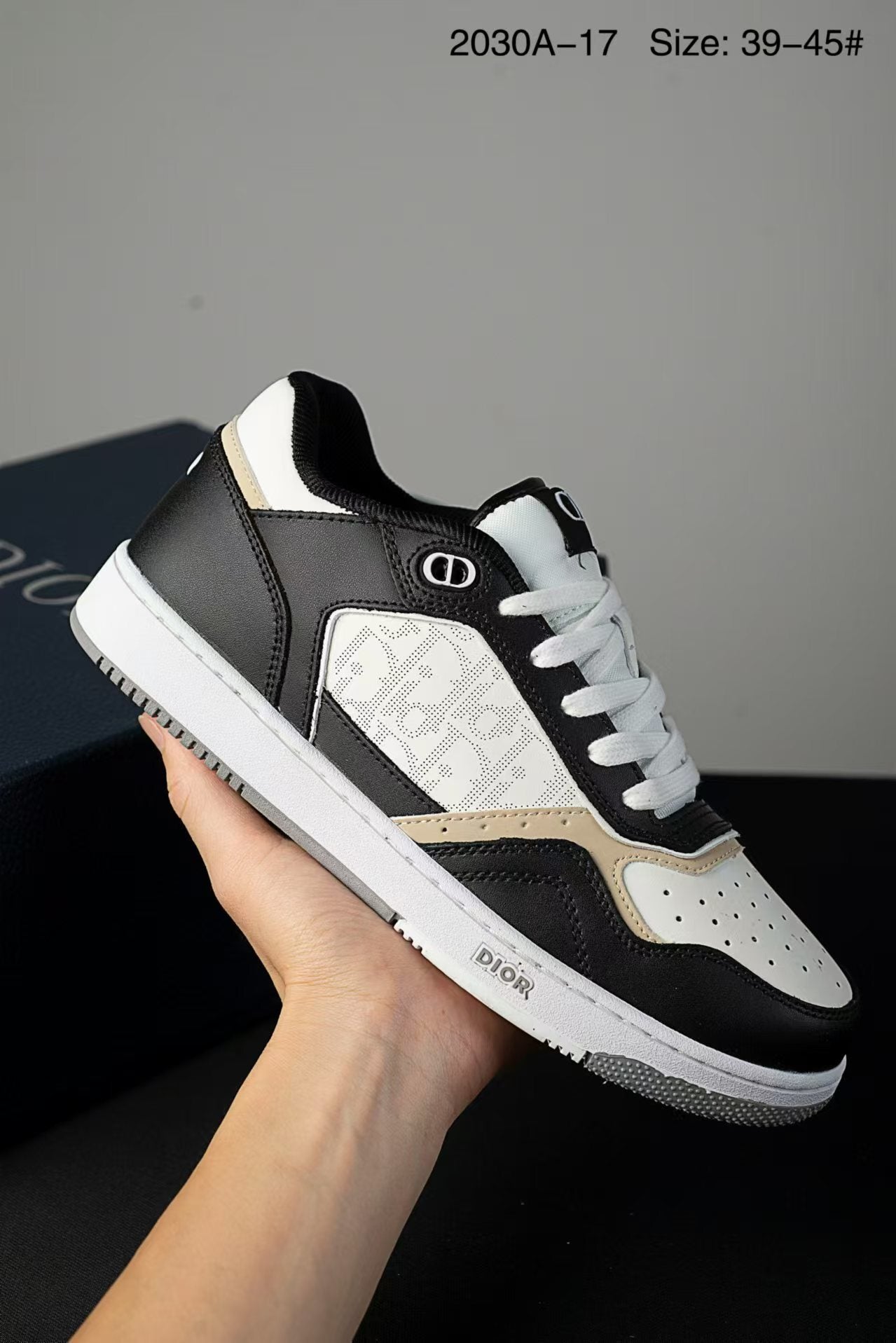 Dior B27 Low-Top Sneaker