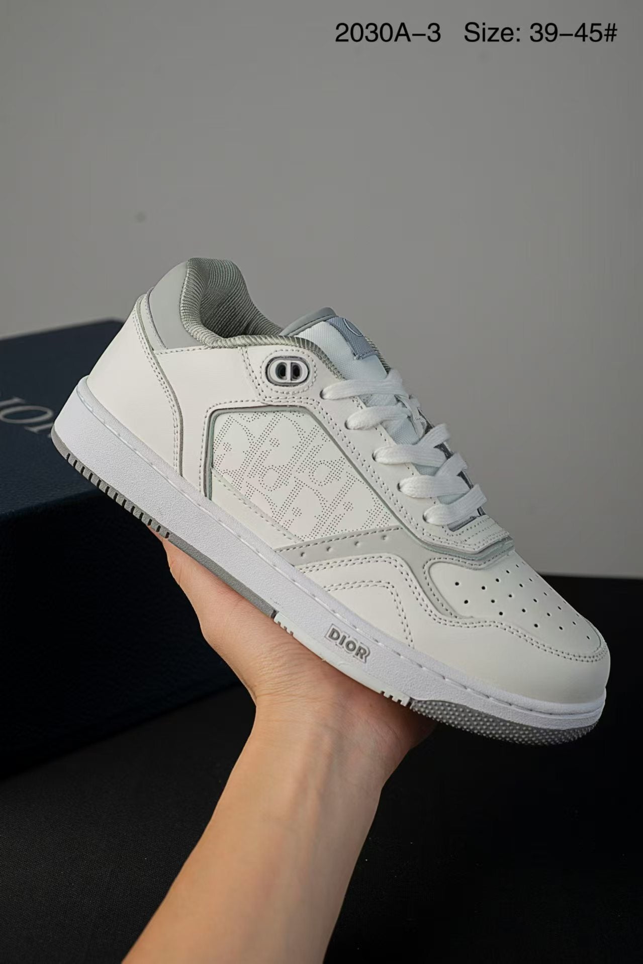 Dior B27 Low-Top Sneaker