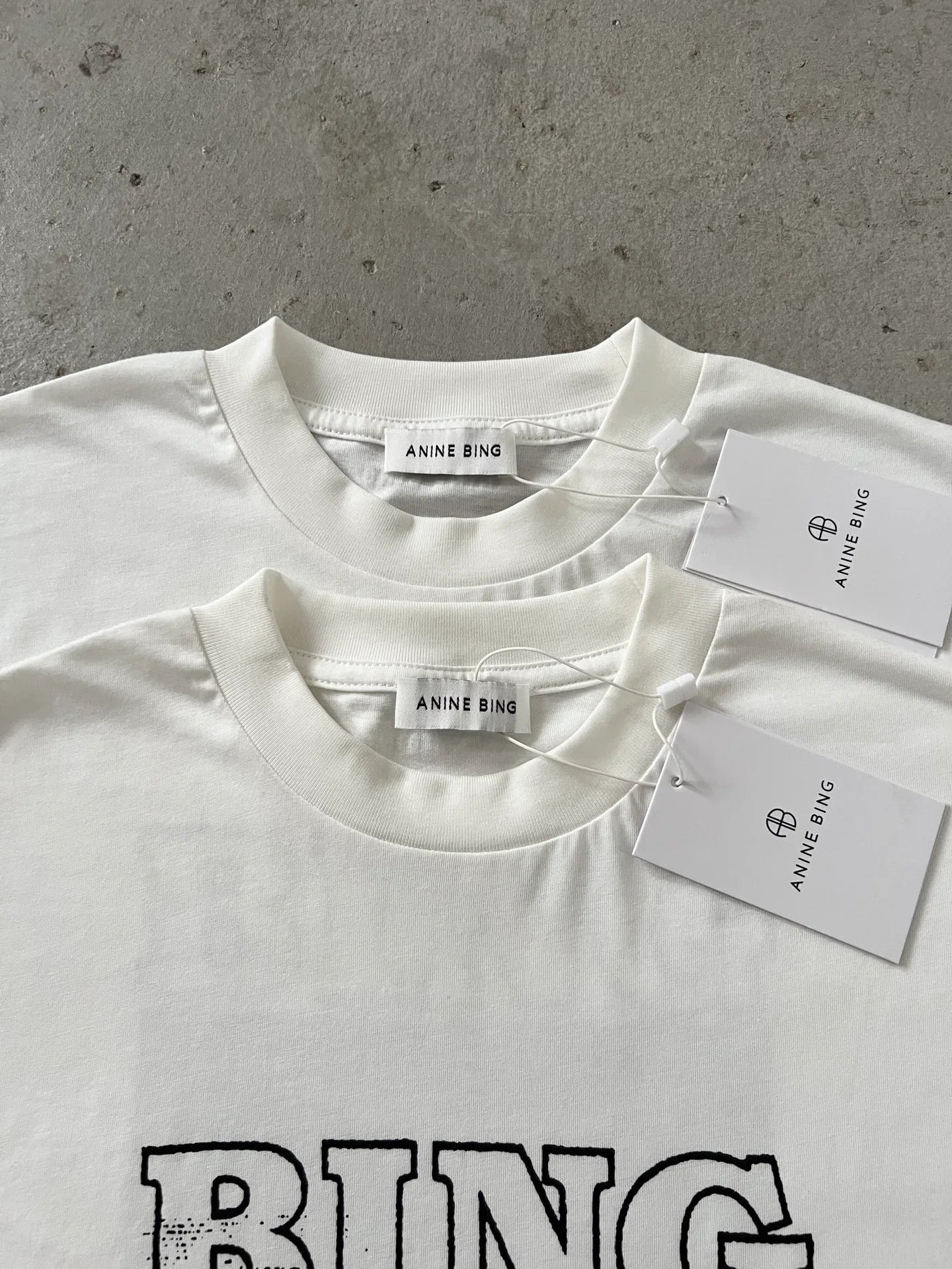 Anine Bing Women's Los Angeles Palm Graphic Relaxed Tee