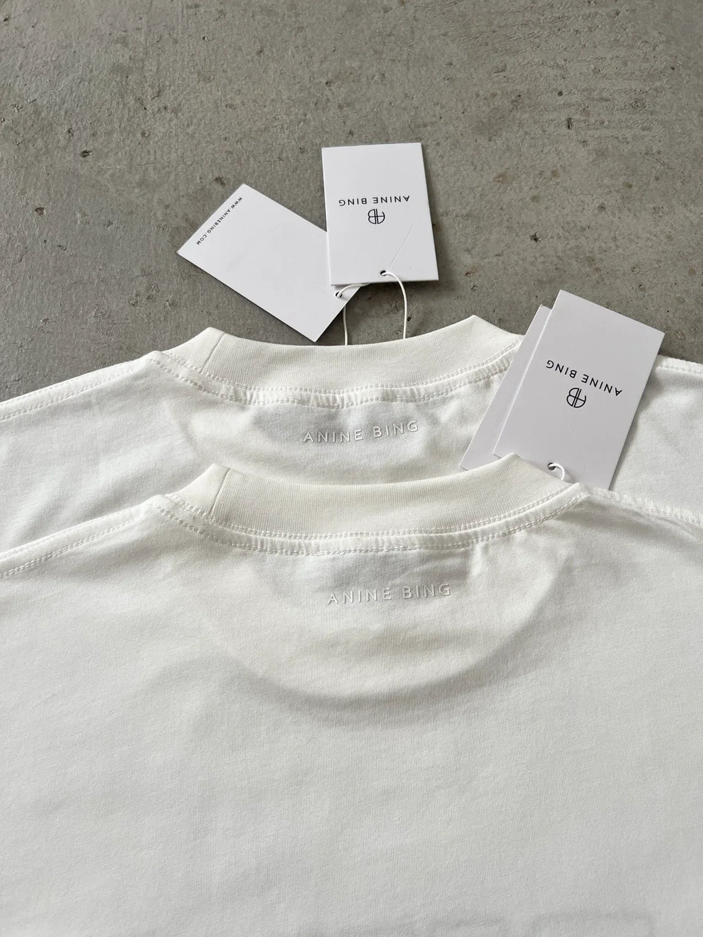 Anine Bing Women's Los Angeles Palm Graphic Relaxed Tee