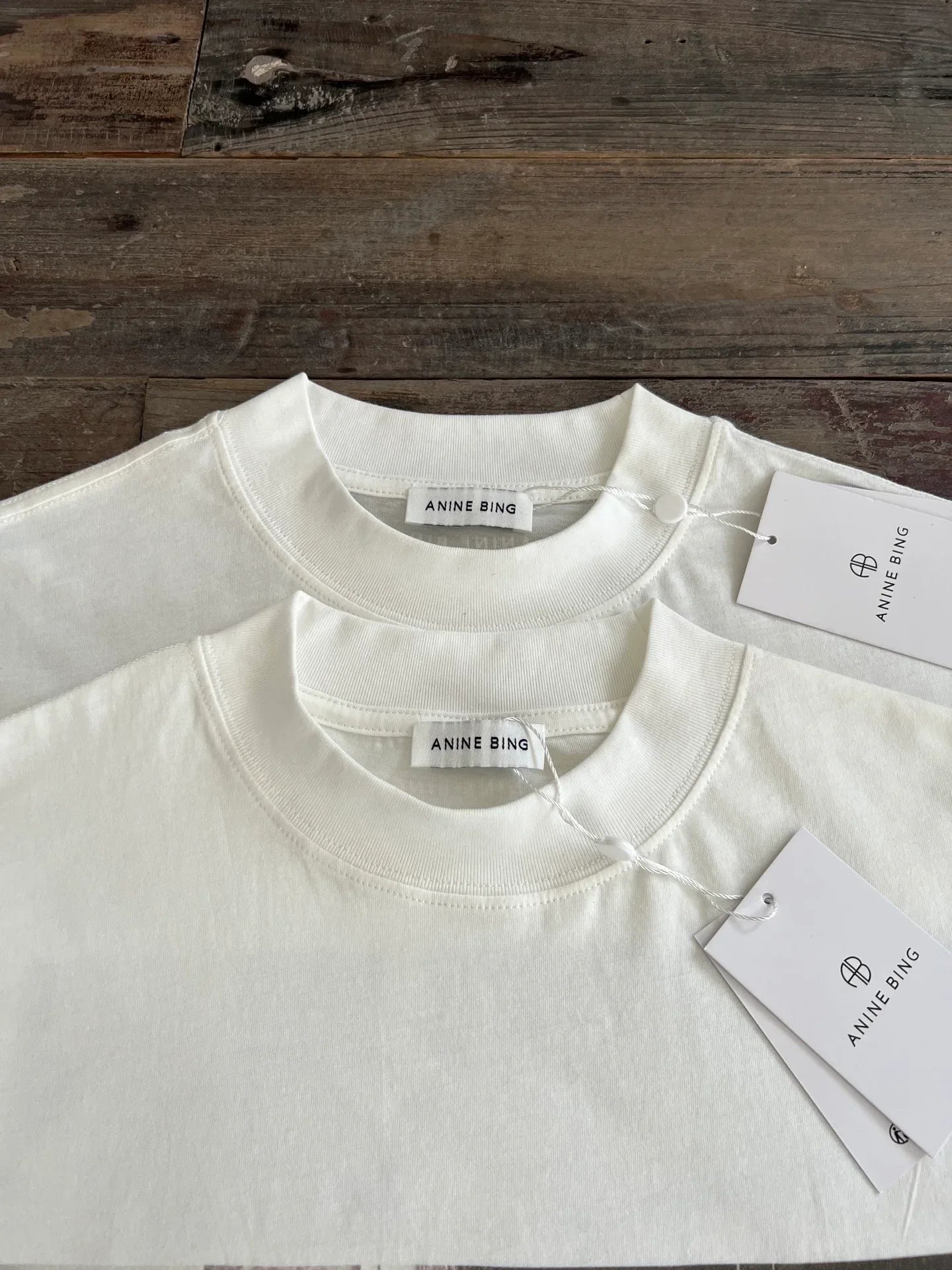 Anine Bing Women's Mick Jagger Graphic Relaxed Fit Tee