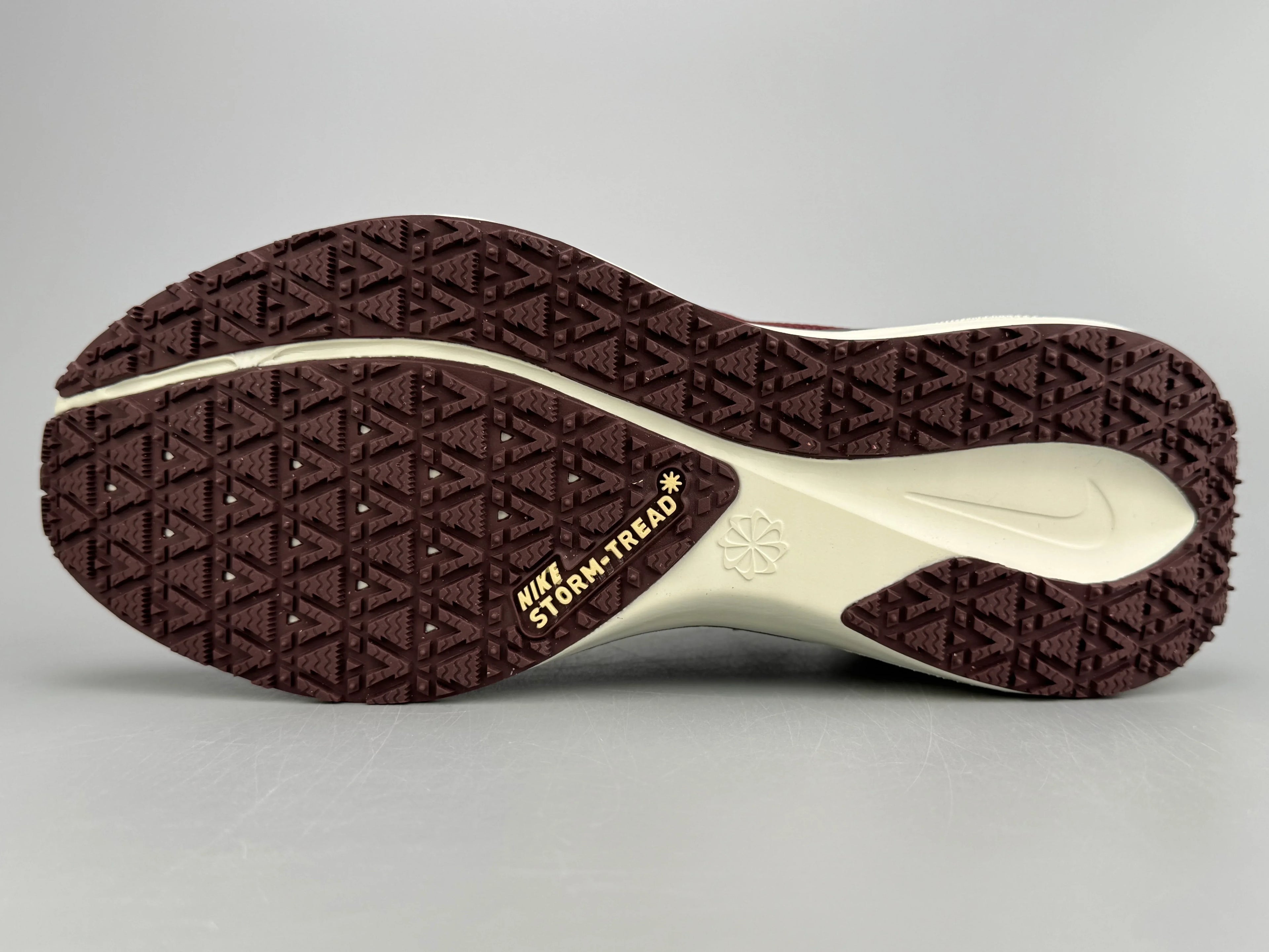 Nike Air Zoom Pegasus 41 GORE-TEX Running Shoes