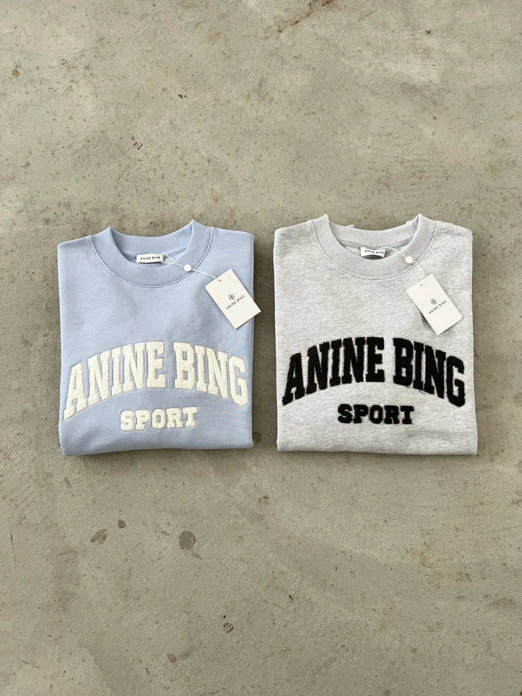 Anine Bing Women's Sport Chenille Logo Oversized Sweatshirt