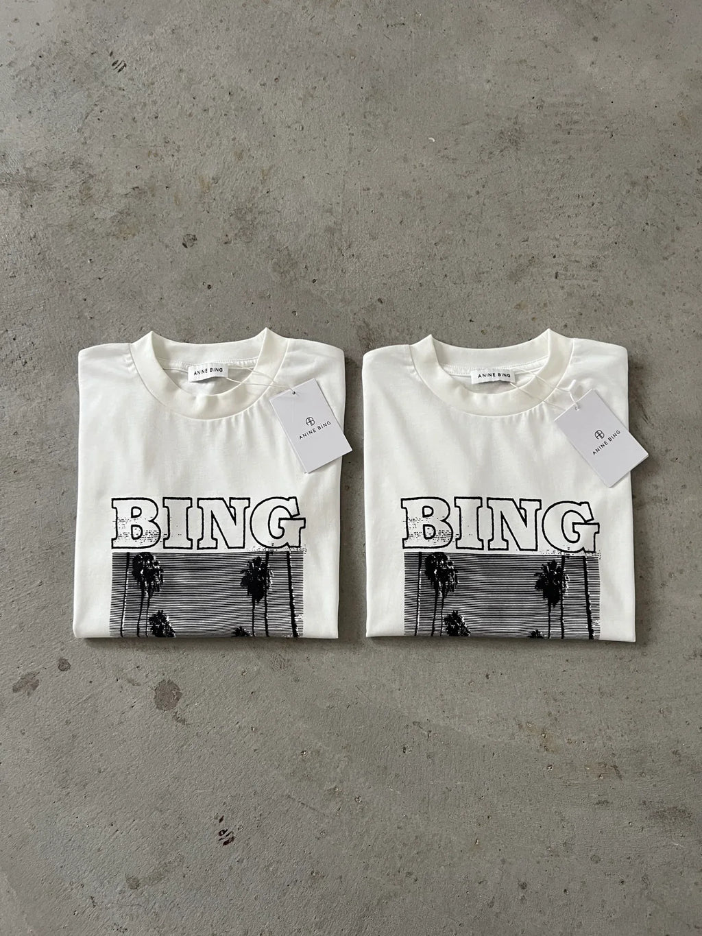 Anine Bing Women's Los Angeles Palm Graphic Relaxed Tee