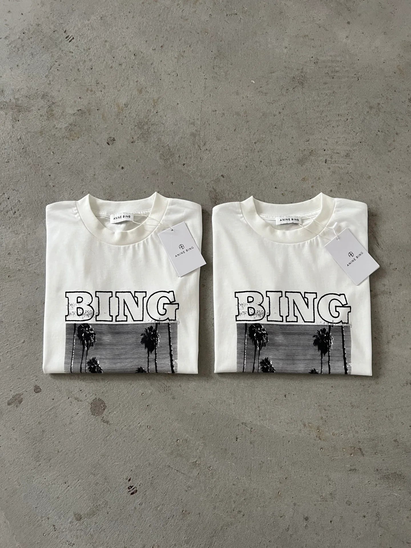 Anine Bing Women's Los Angeles Palm Graphic Relaxed Tee